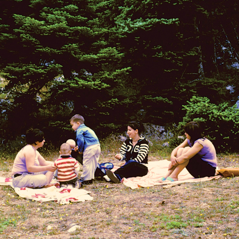 Έκτωρ Δημησιάνος, «Πάρνηθα», έως 30/12 στον «Μύλο»