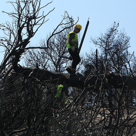 Πυρκαγιά στο Μάτι