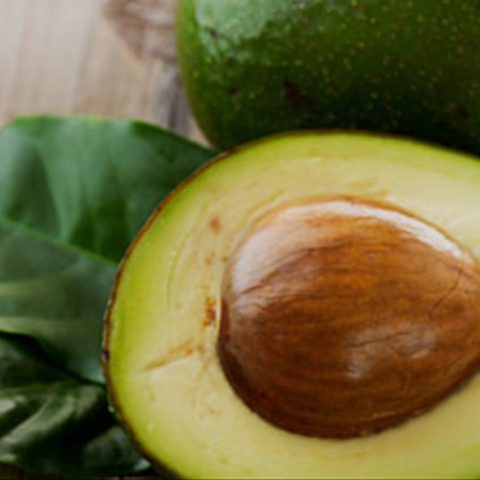 Αβοκάντο