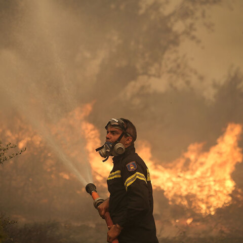 Πυροσβεστική Υπηρεσία