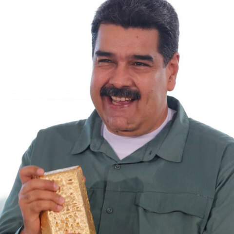 maduro-gold
