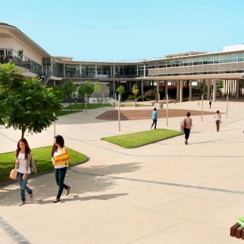 Πανεπιστήμιο Κύπρου