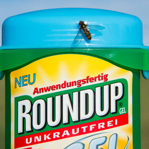 roundup