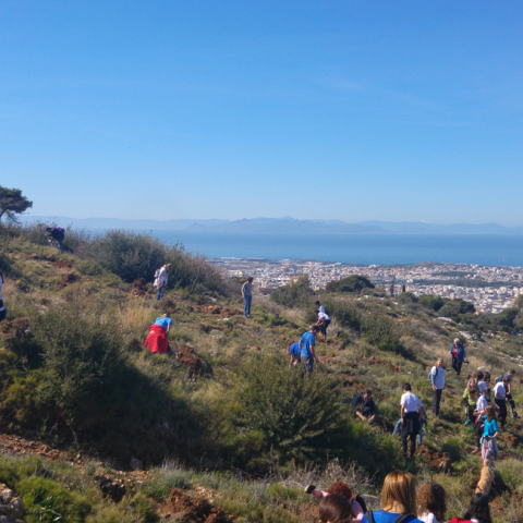 200 νέα δέντρα με πρωτοβουλία του Αμερικανικού Κολλεγίου Ελλάδος