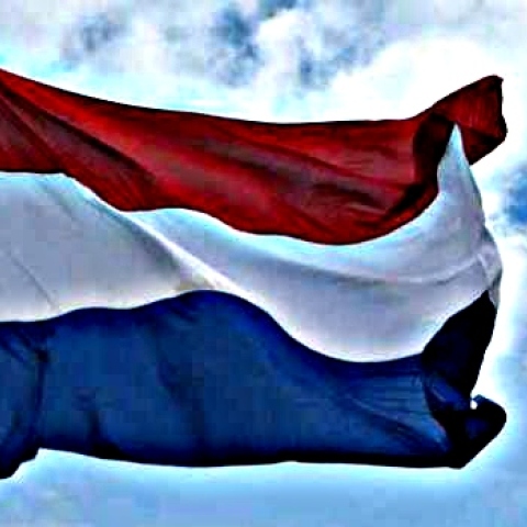 Άνοδος της Ακροδεξιάς στις περιφερειακές εκλογές στην Ολλανδία