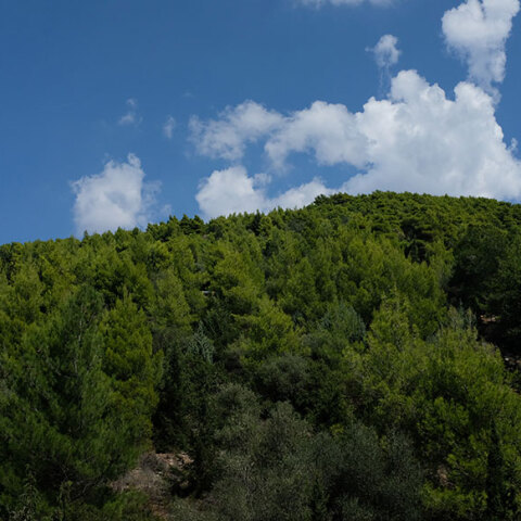 Ελληνικό Κτηματολόγιο