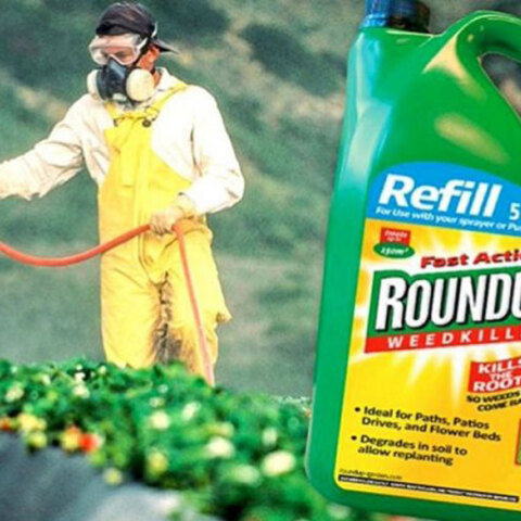 roundup