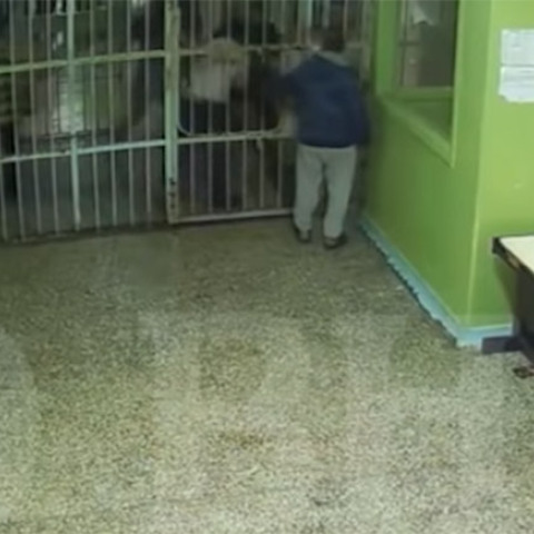 Βίντεο - ντοκουμέντο / Φυλακές Κορυδαλλού 