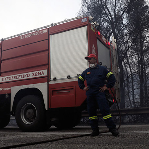 Φωτιά - Χαλκιδική