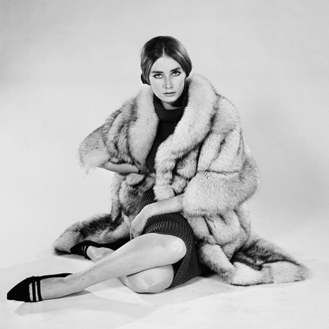 Τάνια Μάλετ