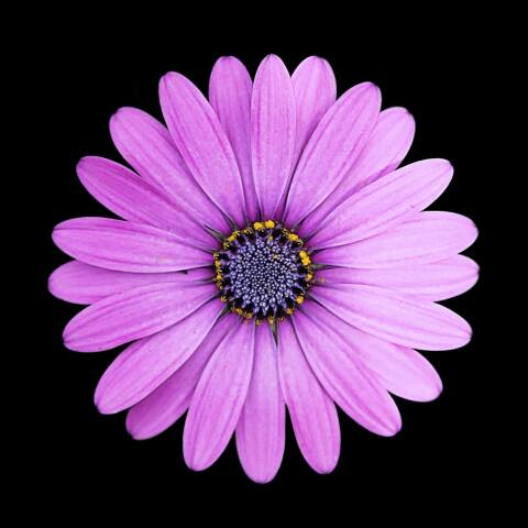 Ποιοι γιορτάζουν σήμερα 6 Απριλίου;