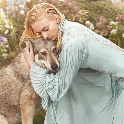 Σόφι Τέρνερ