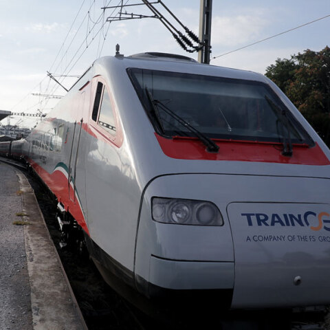 trainose
