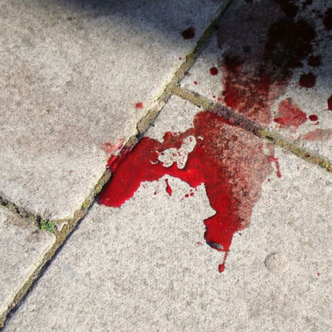 blood.jpg