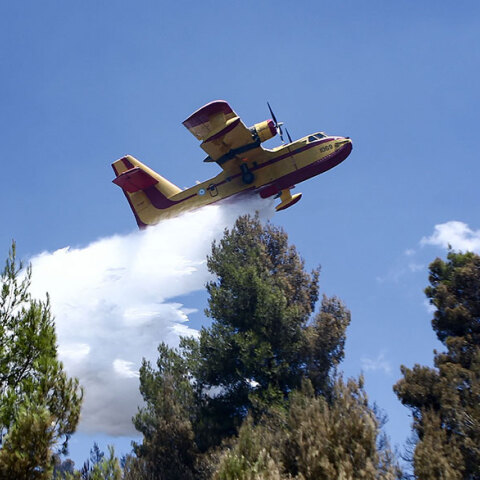 canadair
