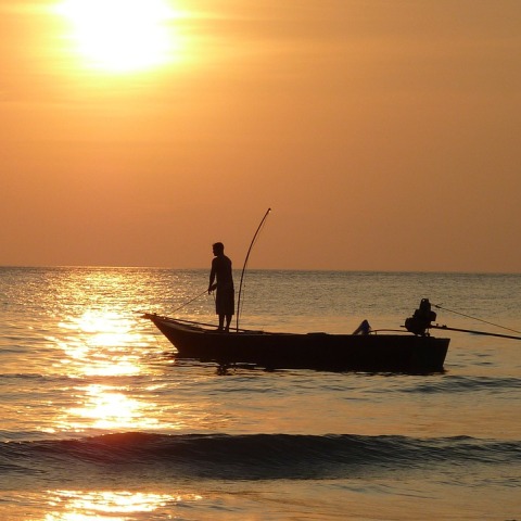 fisherman-209112_1280.jpg