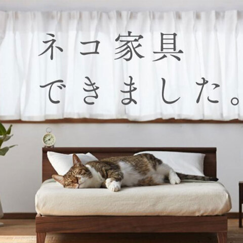 Έπιπλα-μινιατούρες για γάτες