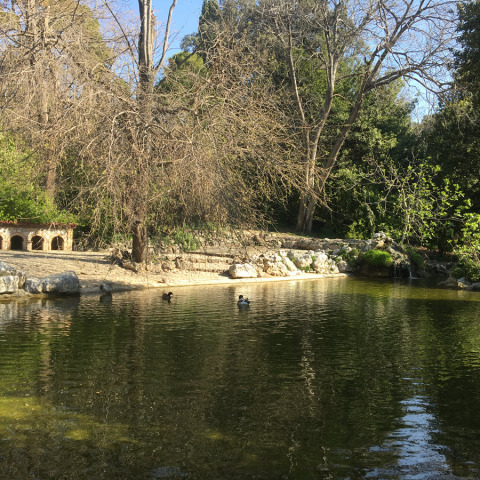 Canon PowerShot SX70 HS