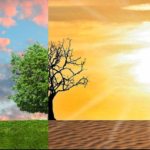 Κλιματική Αλαλγή