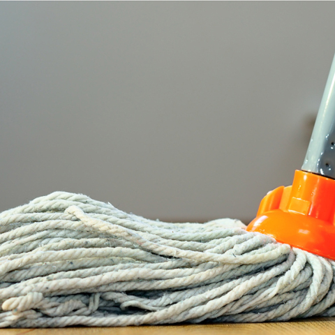 Σφουγγαρίστρα