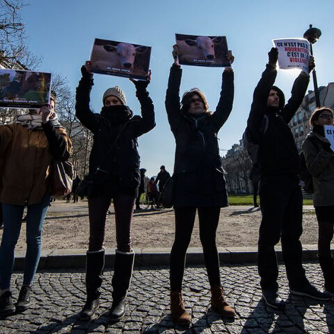 Ακτιβιστές vegan στη Γαλλία