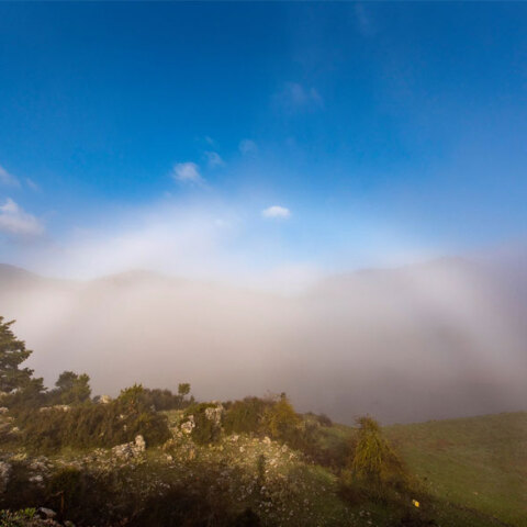Λευκό ουράνιο τόξο