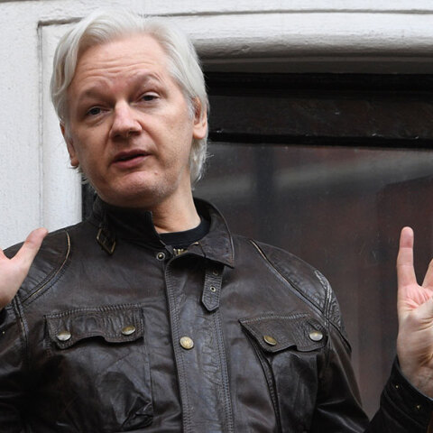 assange