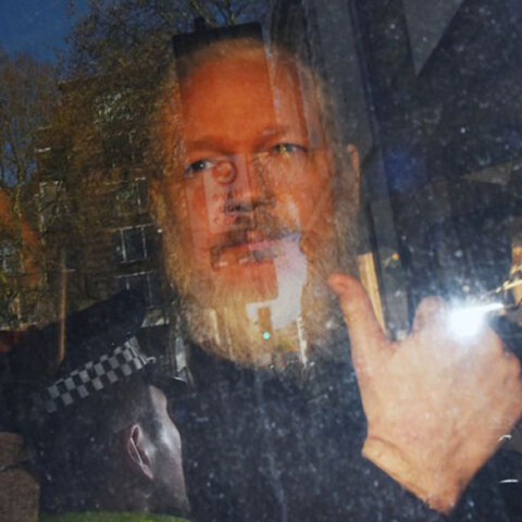 assange
