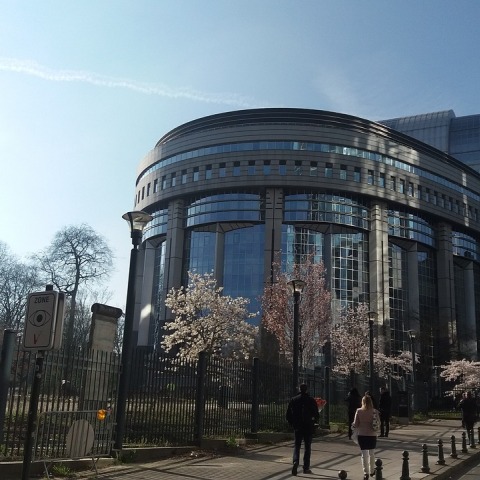 european-parliament-2697647_1280.jpg