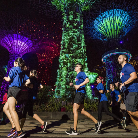 Wings for Life World Run