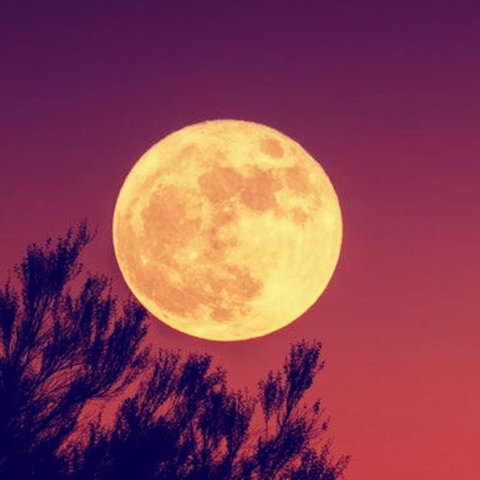 solar-full-moon.jpg
