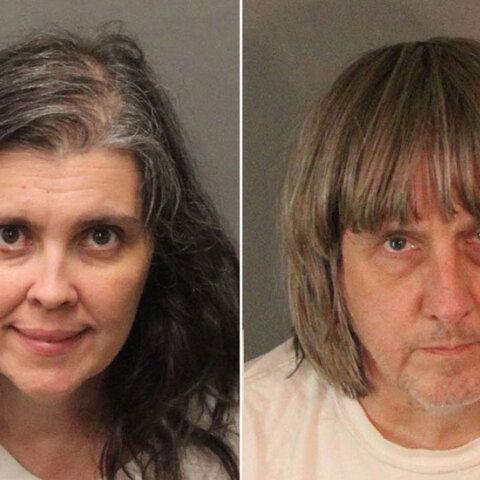 Ζεύγος Τάρπιν