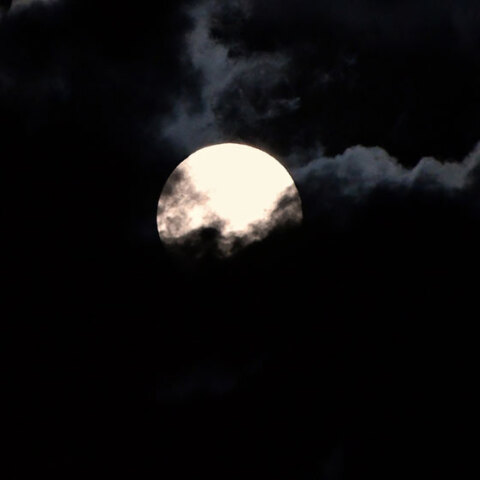 Ροζ Φεγγάρι