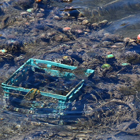 Απορρίμματα  - Θάλασσες