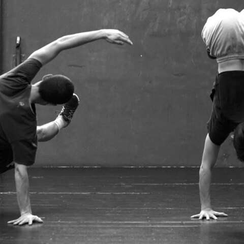 Δημήτρης Μυτιληναίος «Hardly the Same, a dance guide to mess up body and mind»