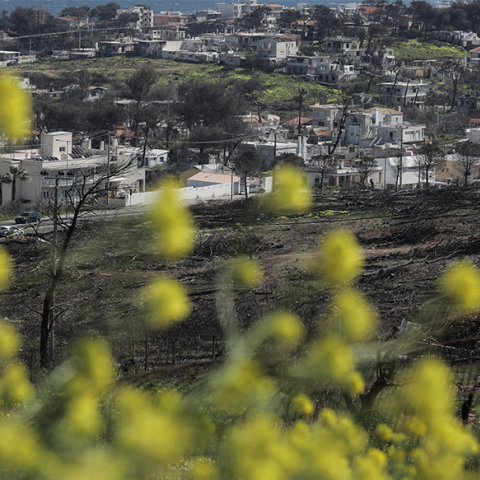 Πυρόπληκτο Μάτι