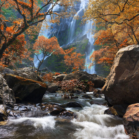 Καταρράκτης