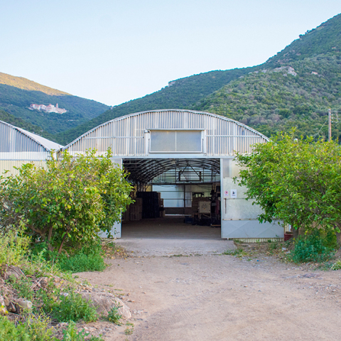 Θέατρο υπάρχει όπου υπάρχουν θεατές