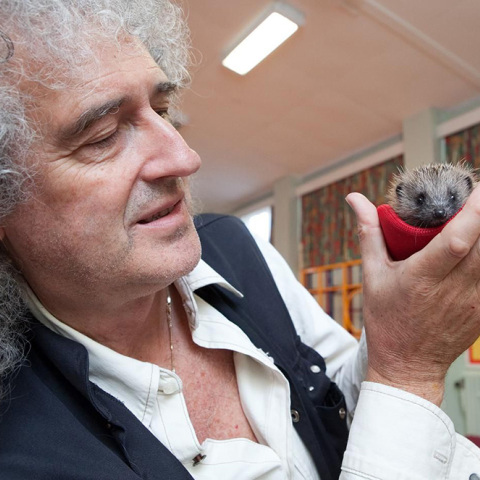 Μπράιν Μέι των Queen