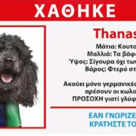 thanasis1.jpg