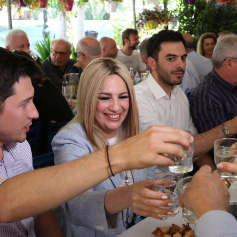 Αισιοδοξία Φώφης Γεννηματά ότι το ΚΙΝΑΛ θα είναι τρίτο κόμμα 