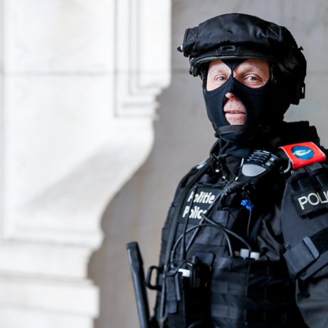 Αστυνομία, Βρυξέλλες