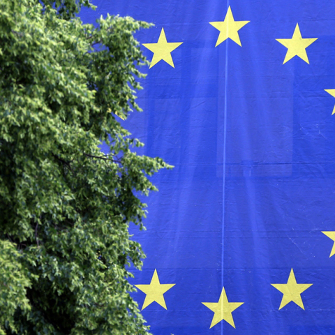 Ευρωεκλογές