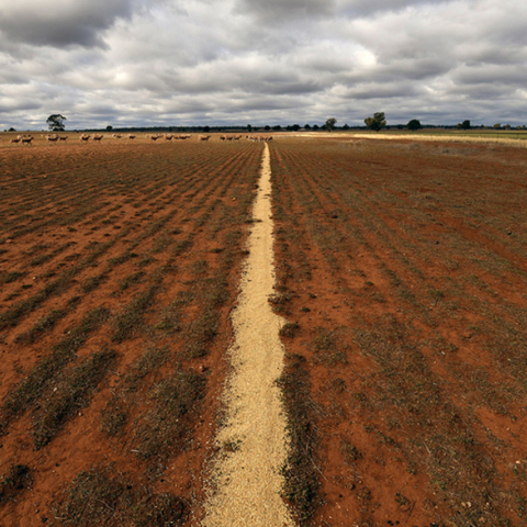 Ξηρασία στην Αυστραλία
