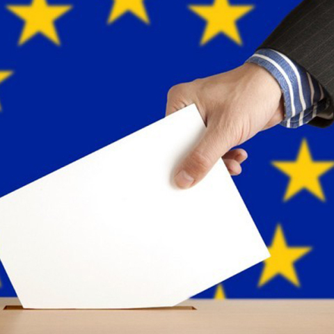 eu_elections.jpg