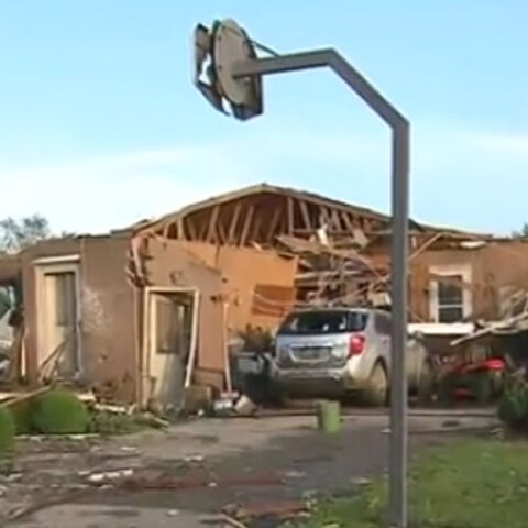 Οχάιο - Αναμοστρόβιλοι