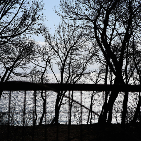 Πυρκαγιά στο Μάτι