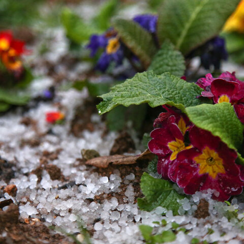 Χαλαζόπτωση