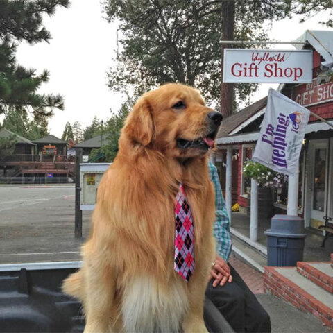 Δήμαρχος Μαξ