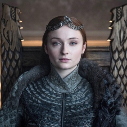 sansa_1_1.jpg